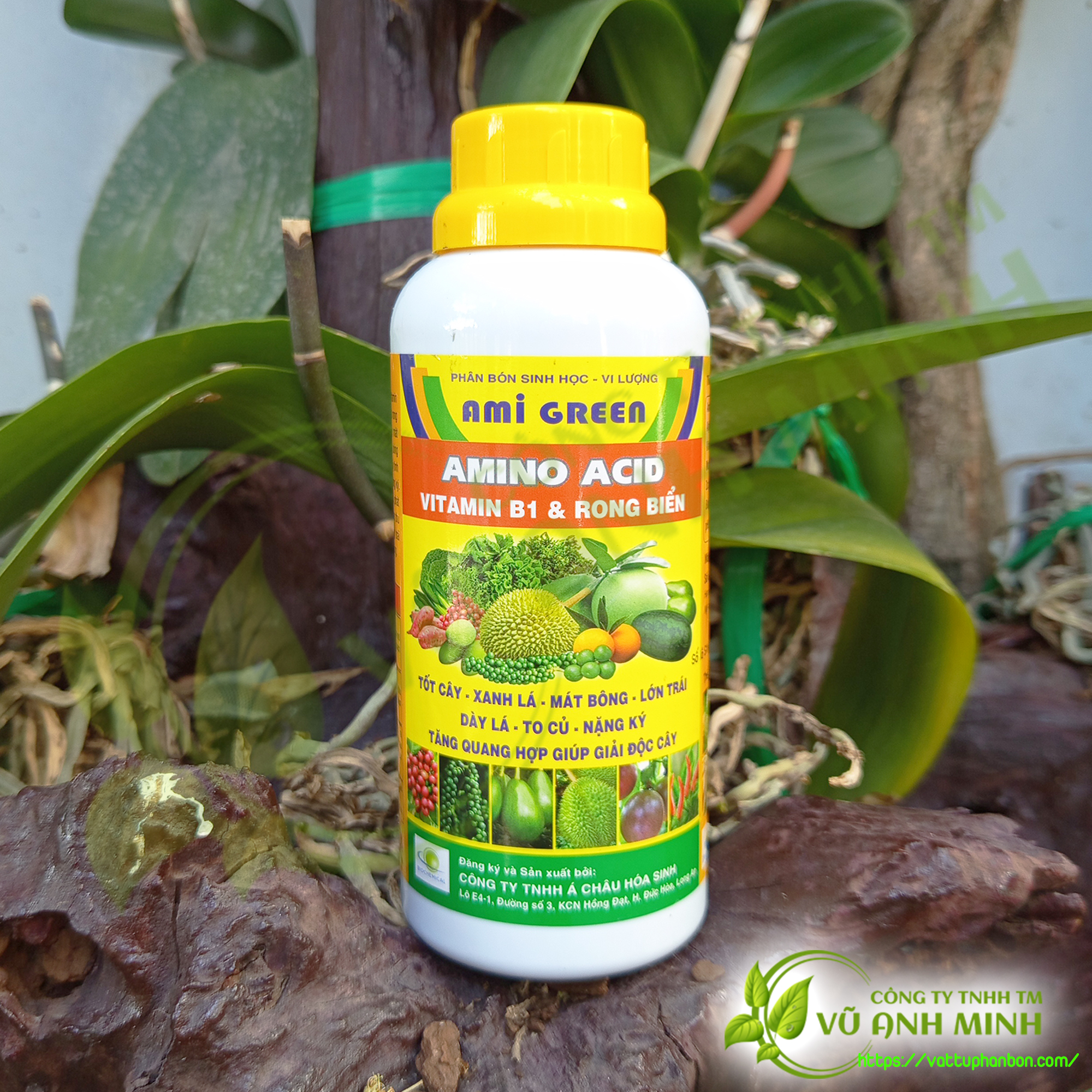 Phân bón sinh học Ami Green - Vitamin B1 & Rong biển - Tốt cây - Xanh lá - #052A# - 500ml