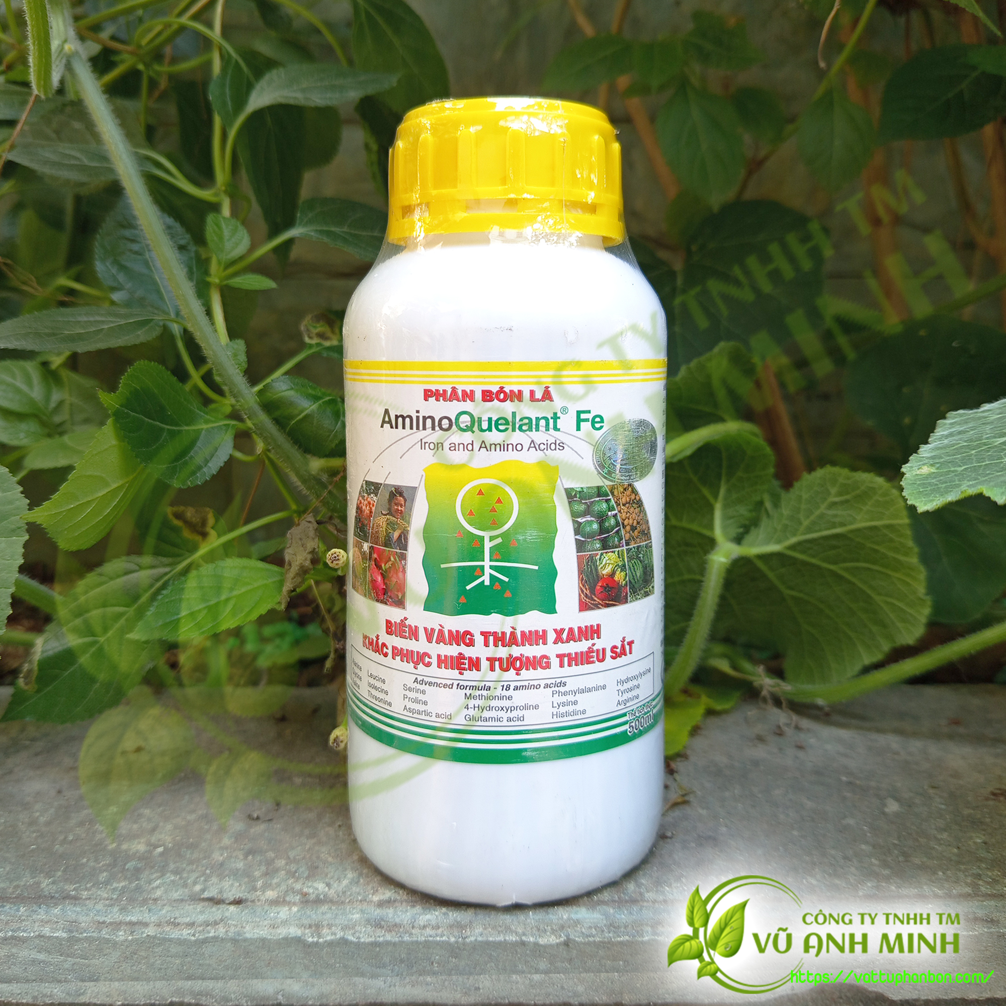 Phân bón lá Amino Quelant Fe - #066A# - 500ml